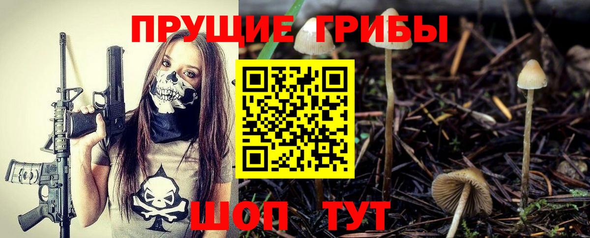 Галлюциногенные грибы Psilocybine cubensis  Вход с VPN  Комсомольск-на-Амуре 